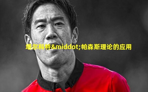 塔尔科特·帕森斯理论的应用
