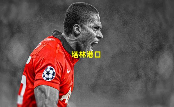 塔林港口