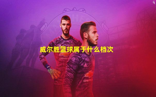 威尔胜篮球属于什么档次