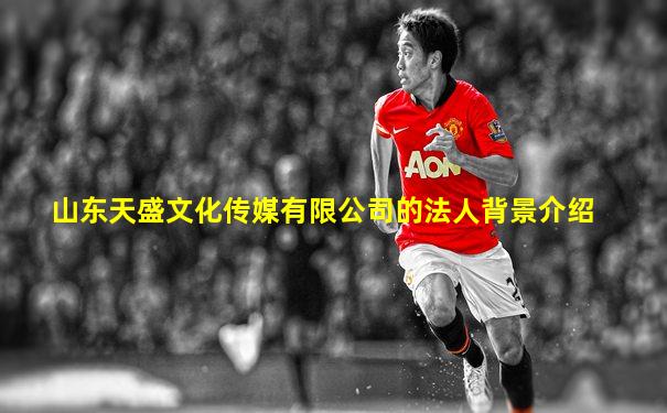 山东天盛文化传媒有限公司的法人背景介绍
