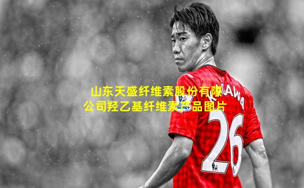 山东天盛纤维素股份有限公司羟乙基纤维素产品图片
