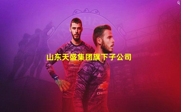山东天盛集团旗下子公司