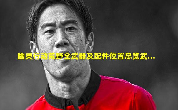 幽灵行动荒野全武器及配件位置总览武...