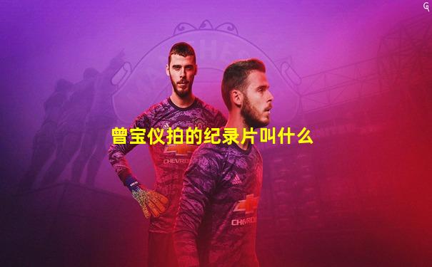曾宝仪拍的纪录片叫什么