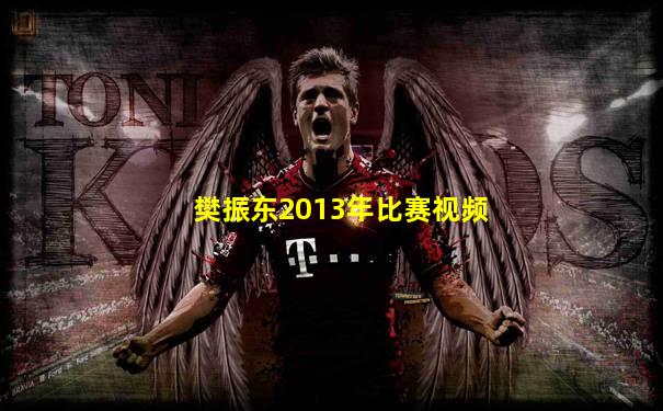 樊振东2013年比赛视频