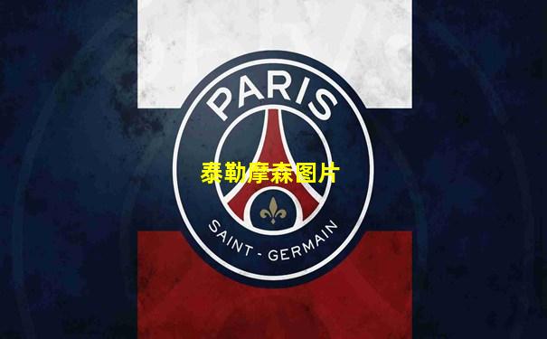 泰勒摩森图片
