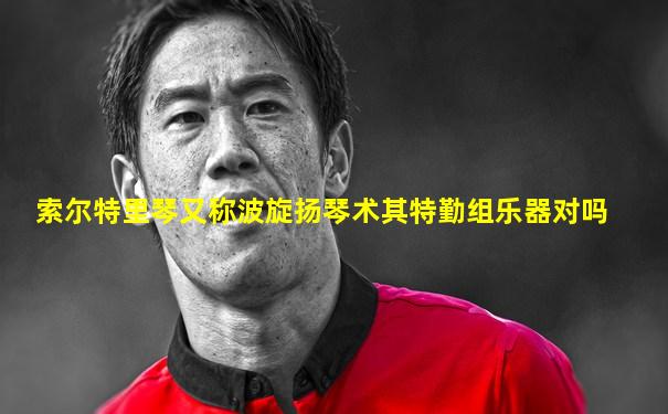 索尔特里琴又称波旋扬琴术其特勤组乐器对吗