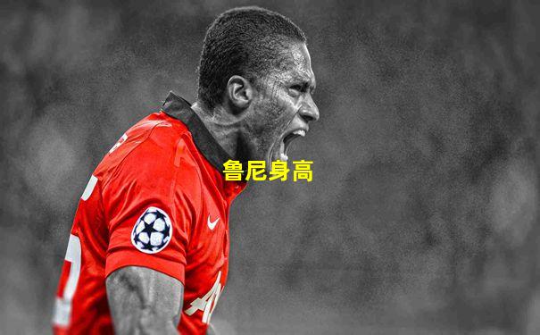 鲁尼身高